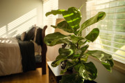 Healthy-Living-Residential-Program-Bedroom-1-3