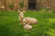 Healthy-Living-Residential-Program-Outside-4