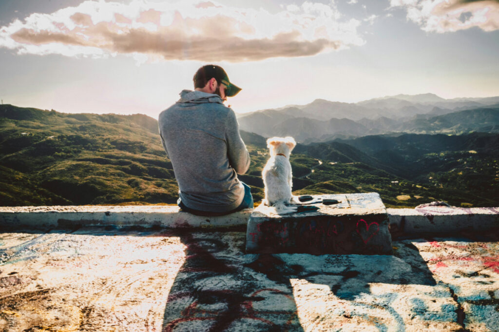 Can I Bring My Pet to Rehab? Why We Welcome Pets, and What the Human-Animal Bond Does for Recovery