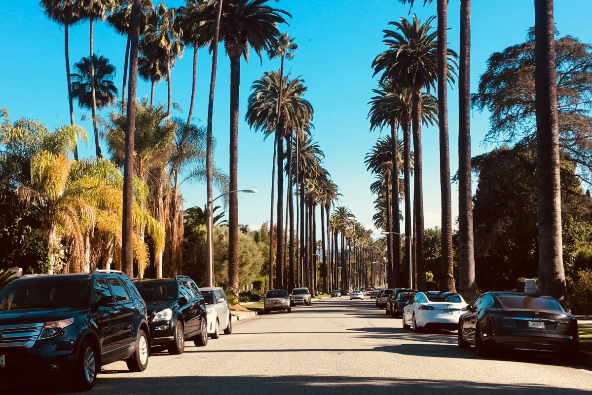 Palm-lined Los Angeles street representing travel to rehab in Santa Clarita